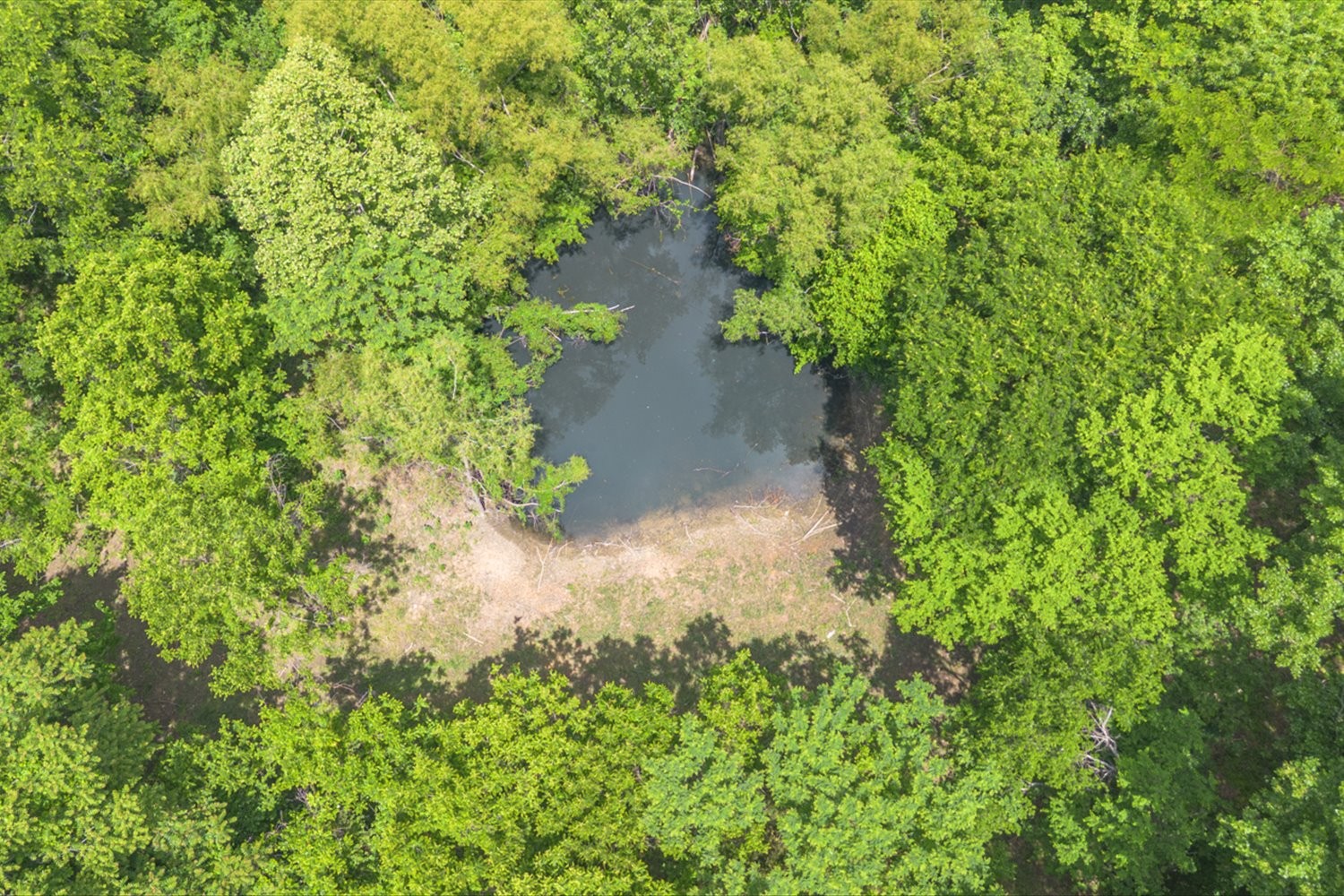402 Cortner Hollow Road Petersburg, TN 37144 - Photo 9 of 54