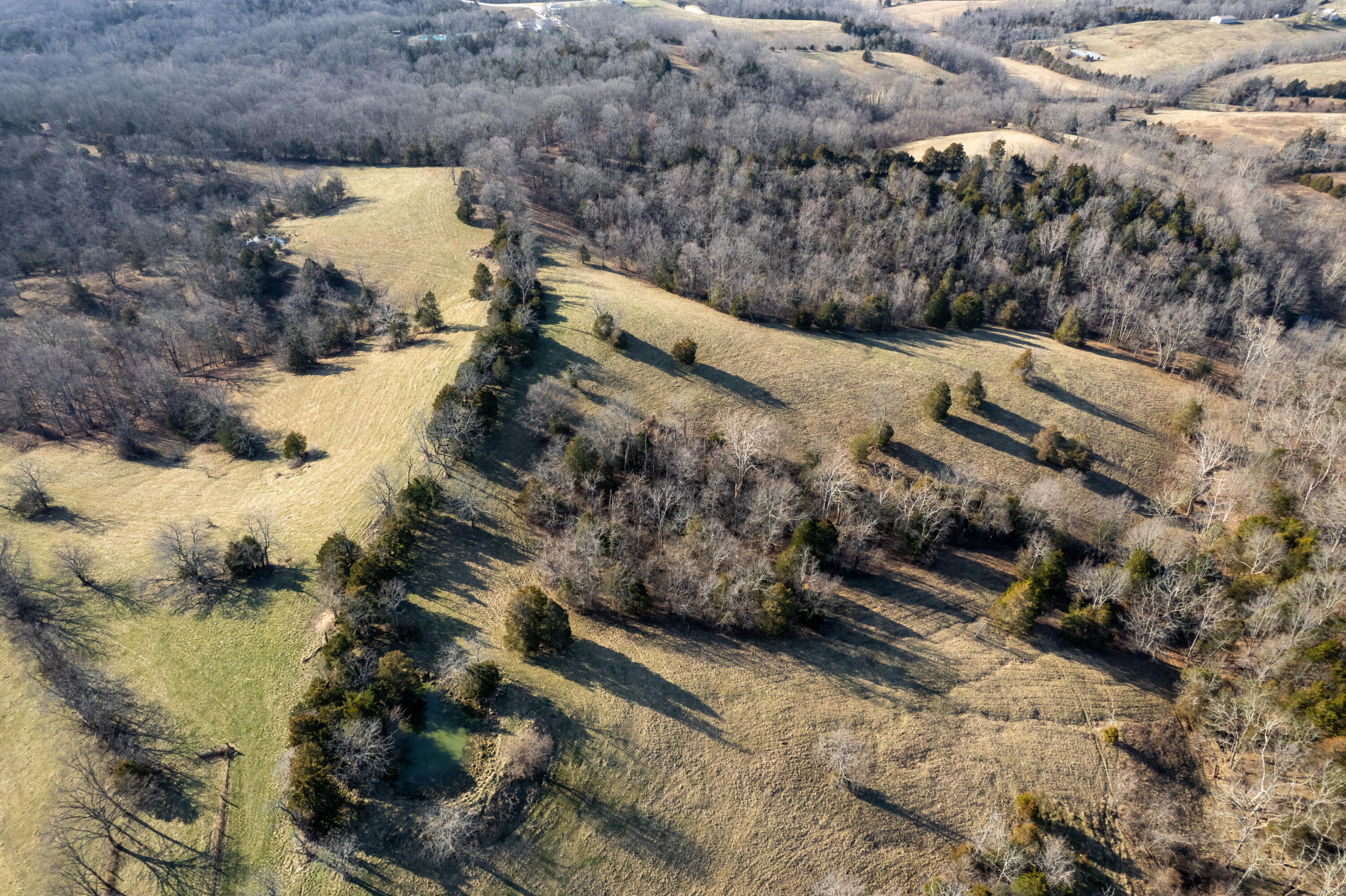 1240 Leaning Oak Road Corinth, KY 41010 - Photo 12 of 43 Gallery Image 12