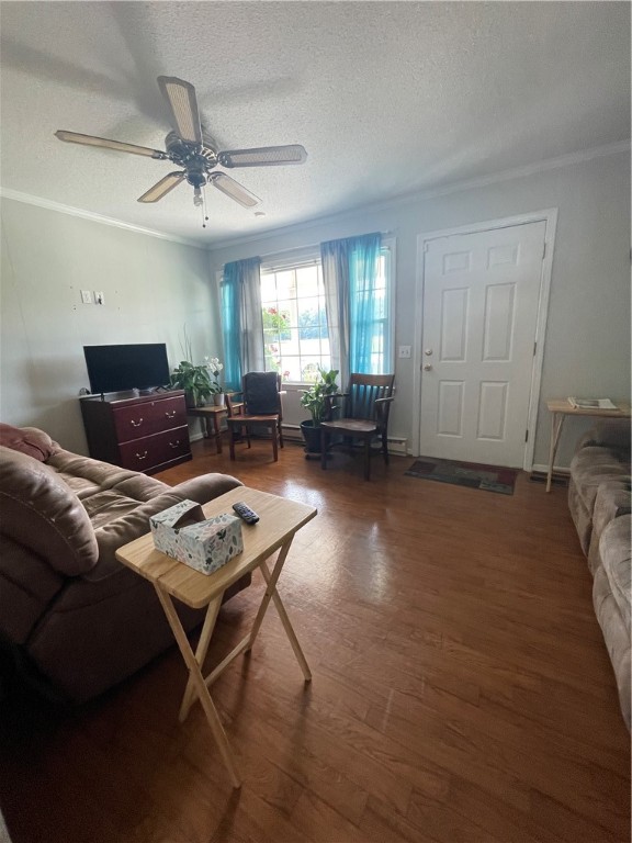 302 Tribble Street Honea Path, SC 29654 - Photo 5 of 20