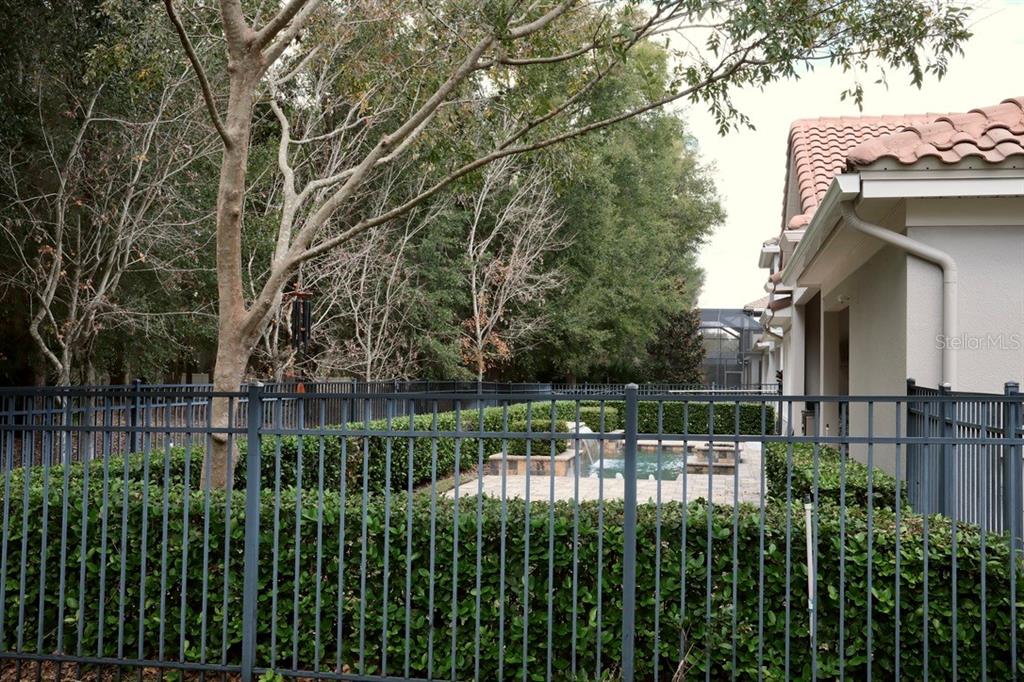 416 Blue Birch Court Sanford, FL 32771 - Photo 33 of 36 a view of a small yard and large trees