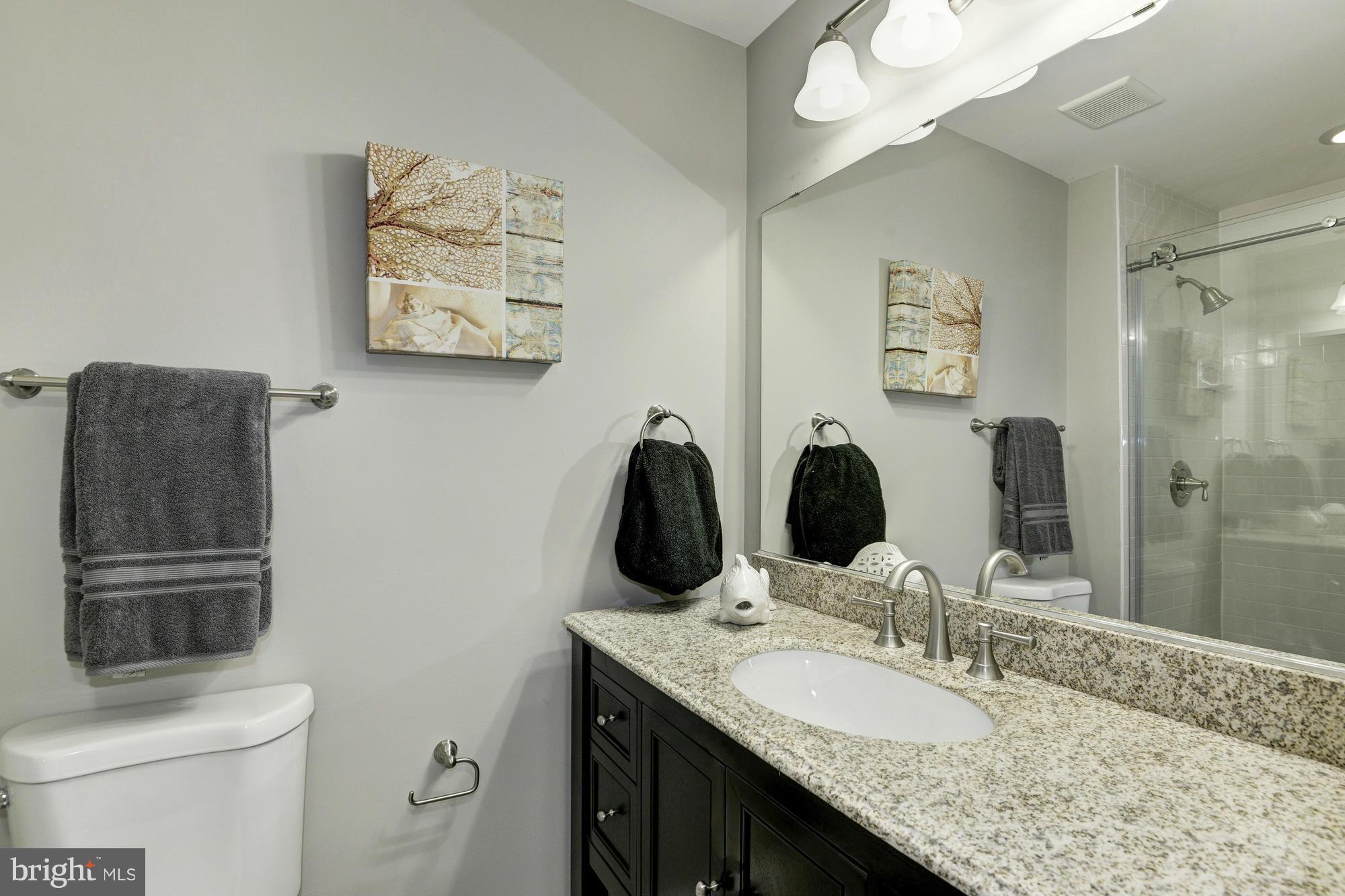 9529 Pamplona Road Columbia, MD 21045 - Photo 22 of 29 Bath (Master)