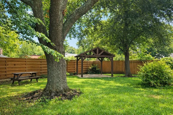 a view of a backyard with a tree
