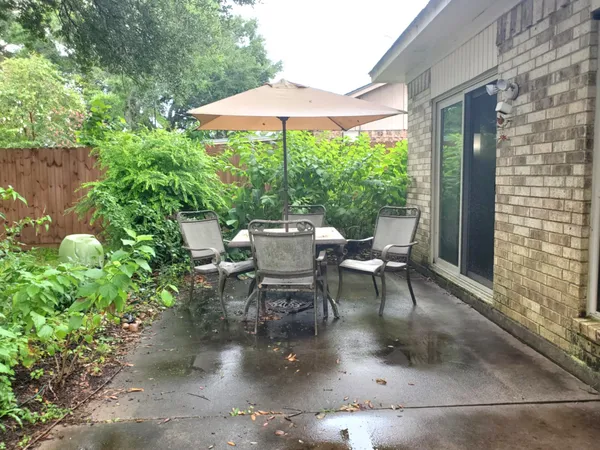 a view of a backyard with a large tree