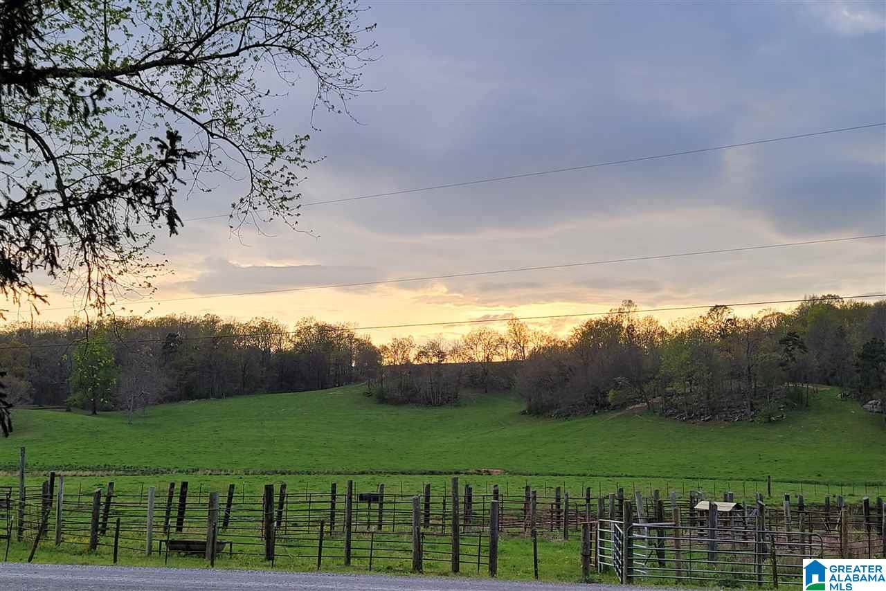 2182 Pitt Road, Unit 74 ACRES Blountsville, AL 35031 - Photo 1 of 3