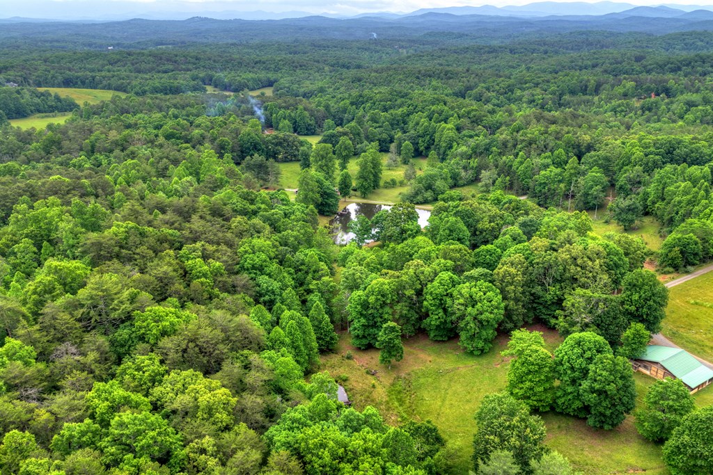 20.11 Mountain View Road McCaysville, GA 30555 - Photo 30 of 51