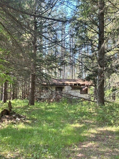 W8303 Christensen Road Trego, WI 54888 - Photo 8 of 12