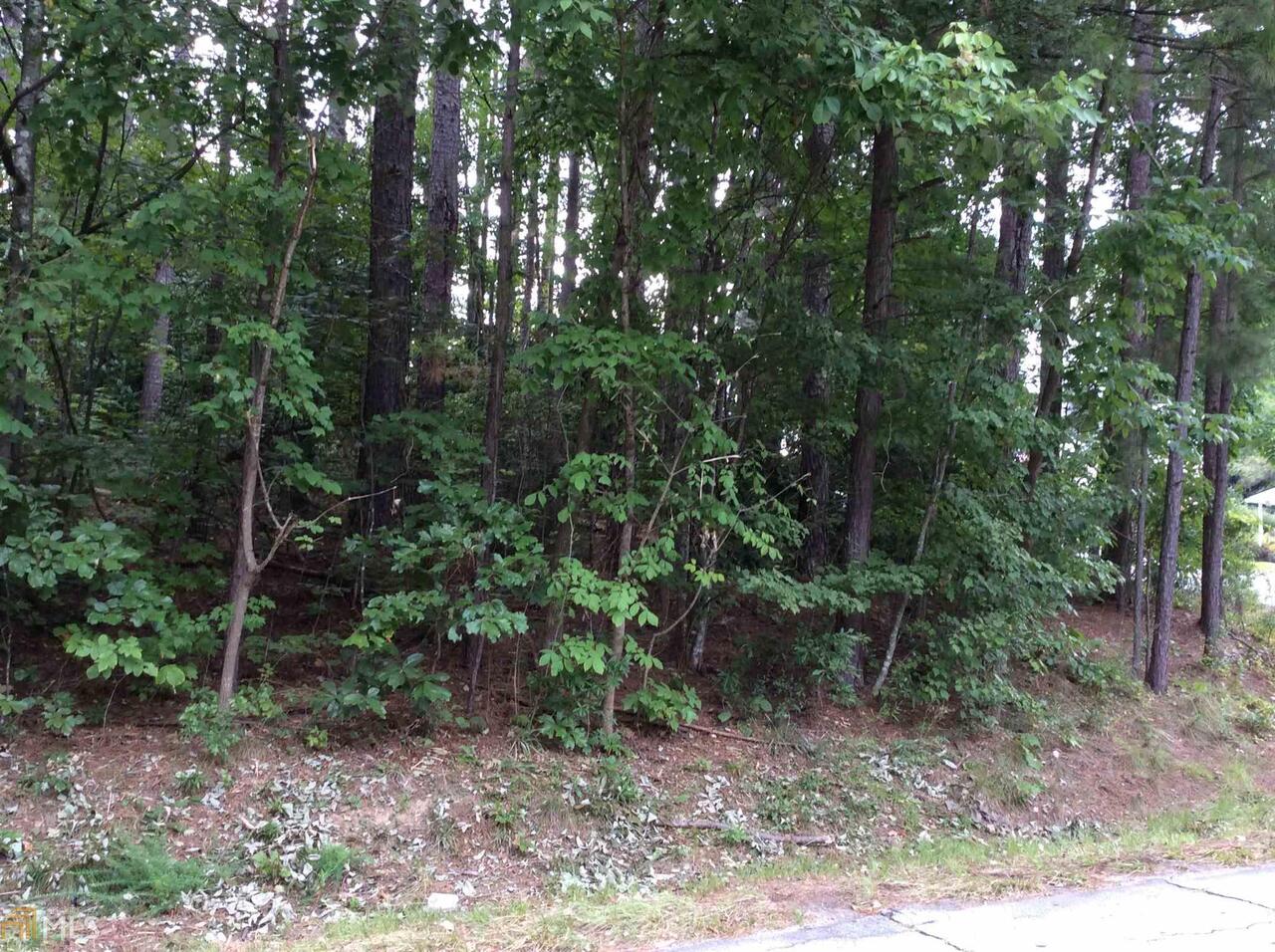 0 Rosedale Street Toccoa, GA 30577 - Photo 1 of 1 Gallery Image 1