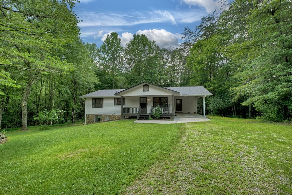 133 Yellowbird Trail Blue Ridge, GA 30513 - Photo 3 of 39 a view of a house with a yard