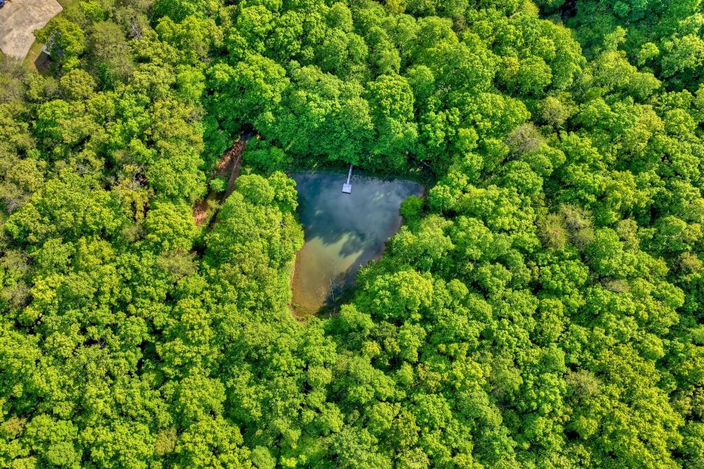 8.52 Ac Mcnelley Road Morganton, GA 30560 - Photo 1 of 47