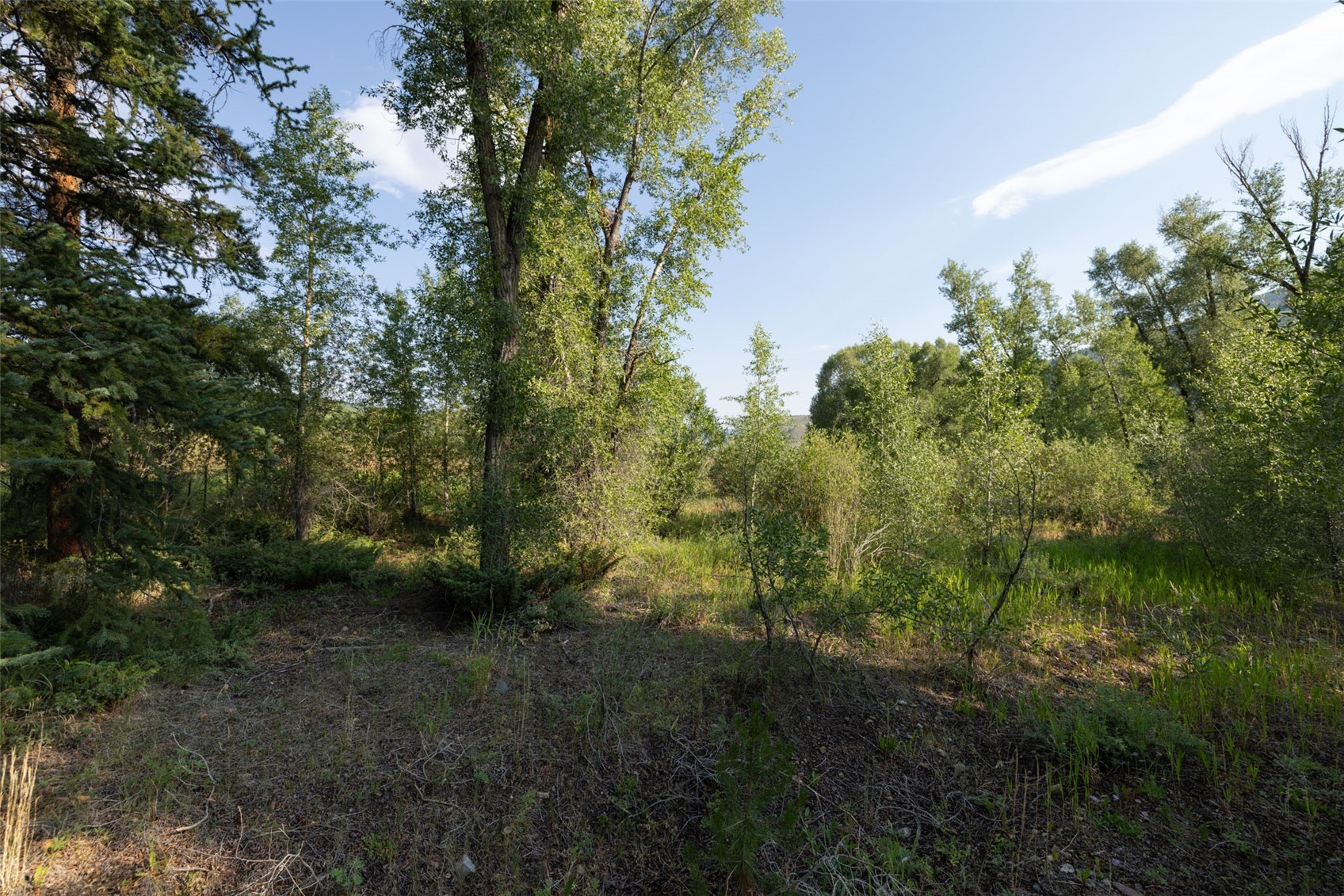 115 Game Trail Road Silverthorne, CO 80498 - Photo 28 of 36 Gallery Image 28