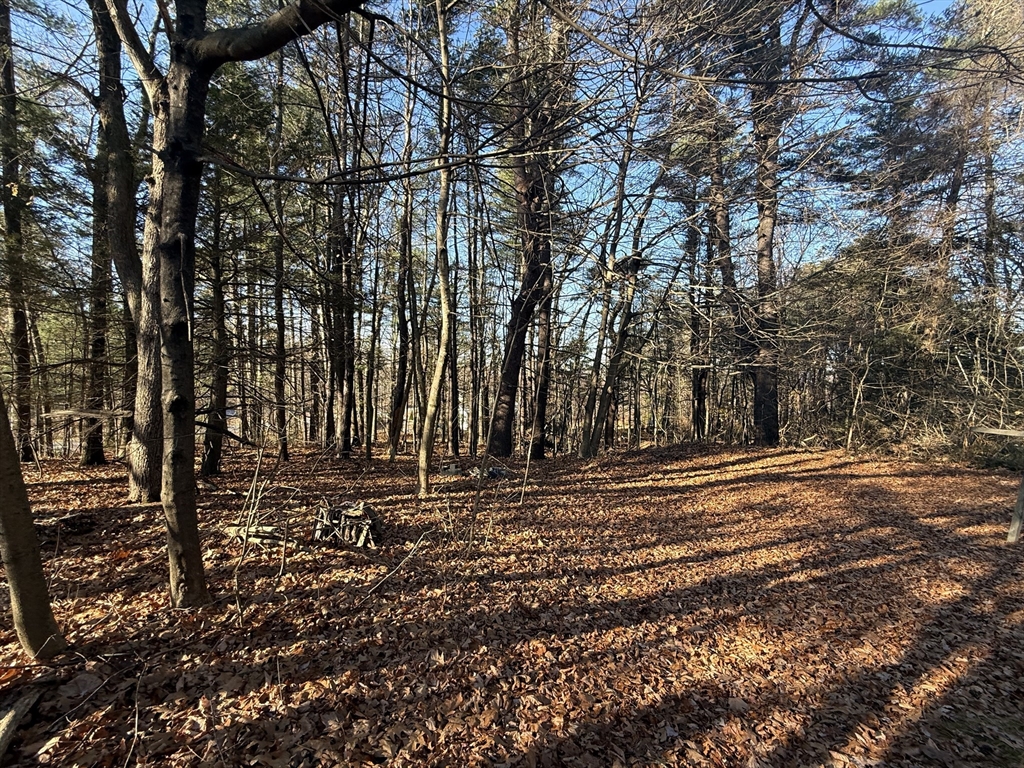 0 Lyman Barnes Road Brimfield, MA 01010 - Photo 1 of 2 a view of a yard with a trees