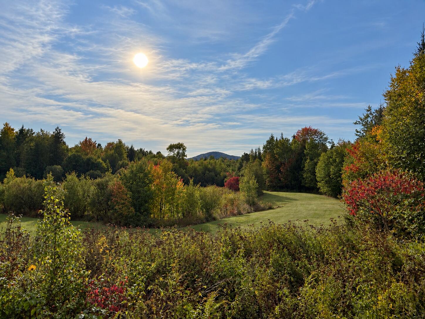 1196 Great Pond Road Great Pond, ME 04408 - Photo 5 of 56 Backyard GP