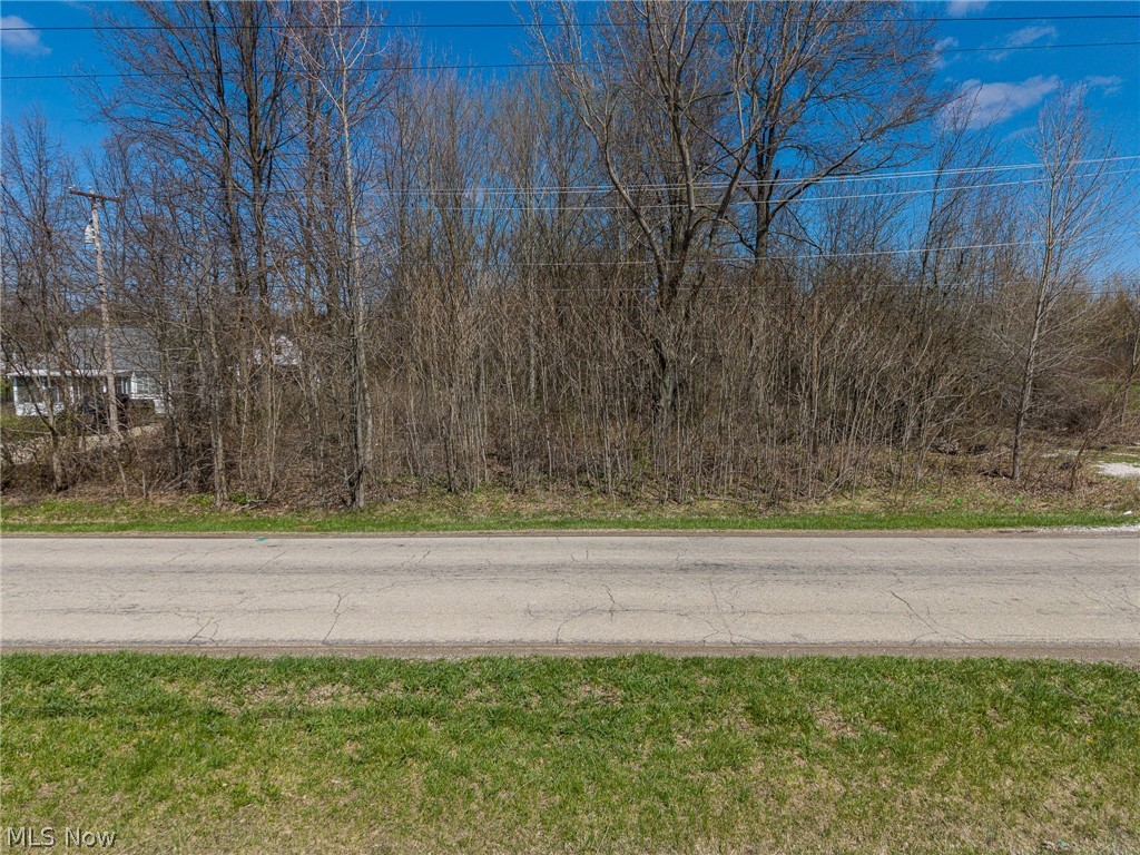 Cooley Road Columbia Station, OH 44028 - Photo 4 of 5 Gallery Image 4