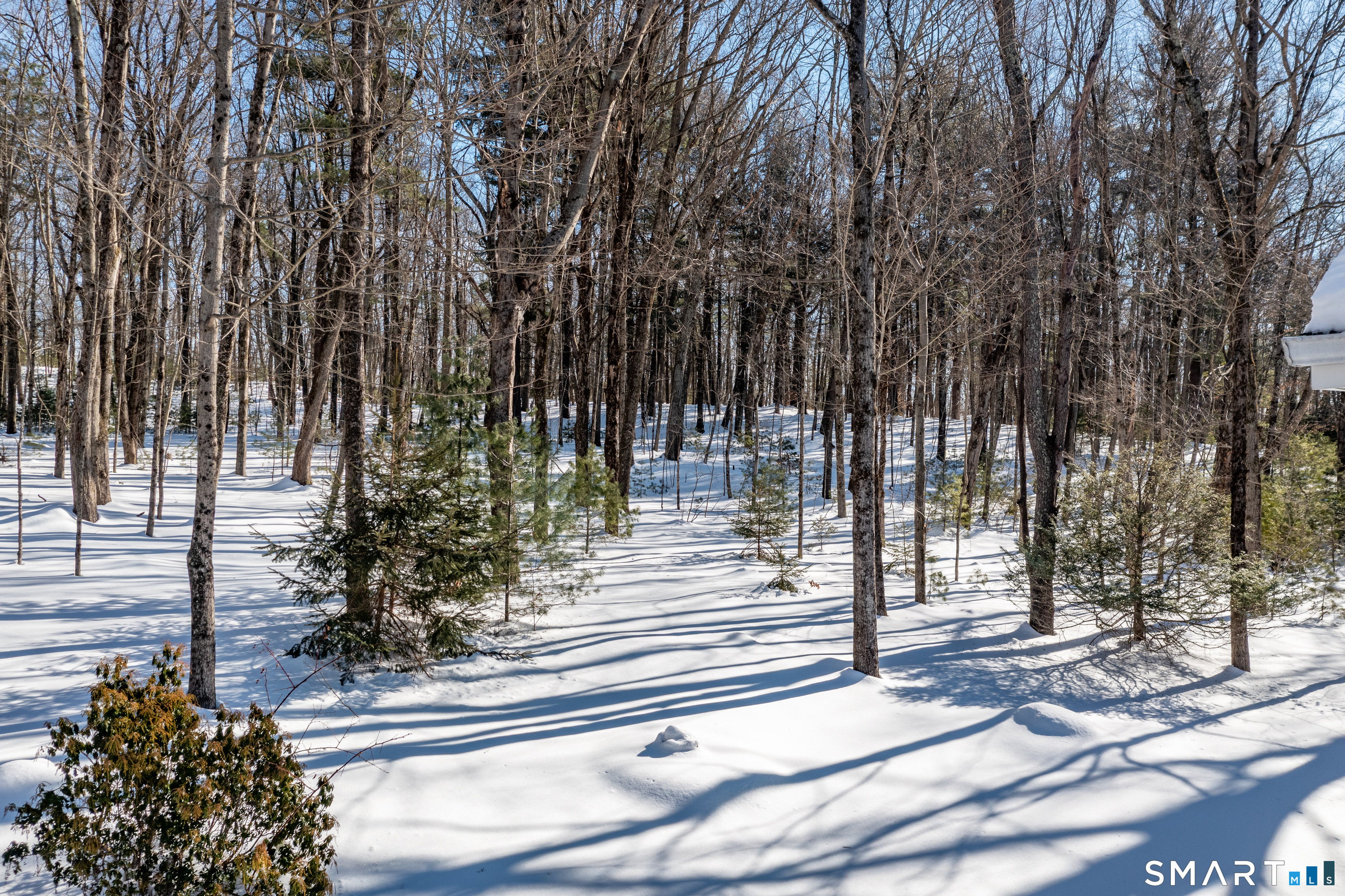 720 Bolton Road Vernon, CT 06066 - Photo 37 of 37