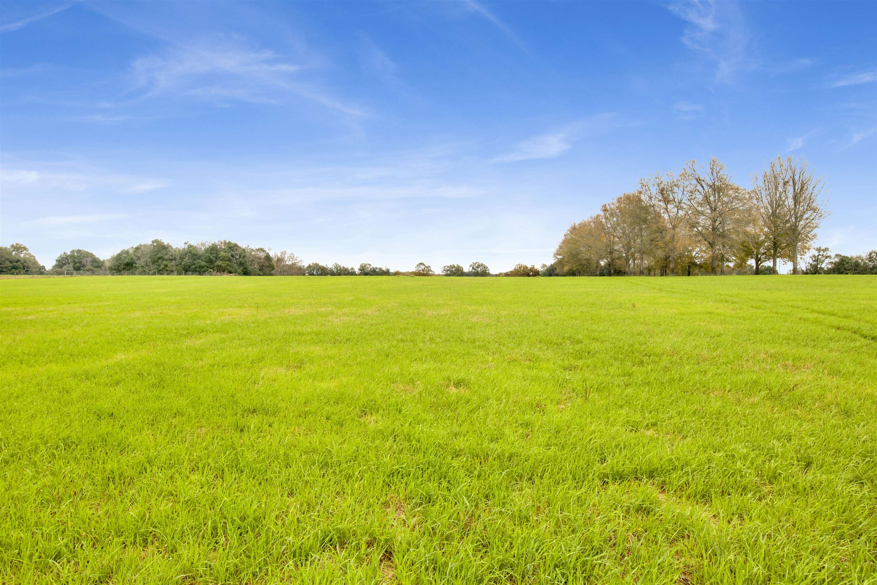 0 Newman Road Summerdale, AL 36580 - Photo 11 of 14