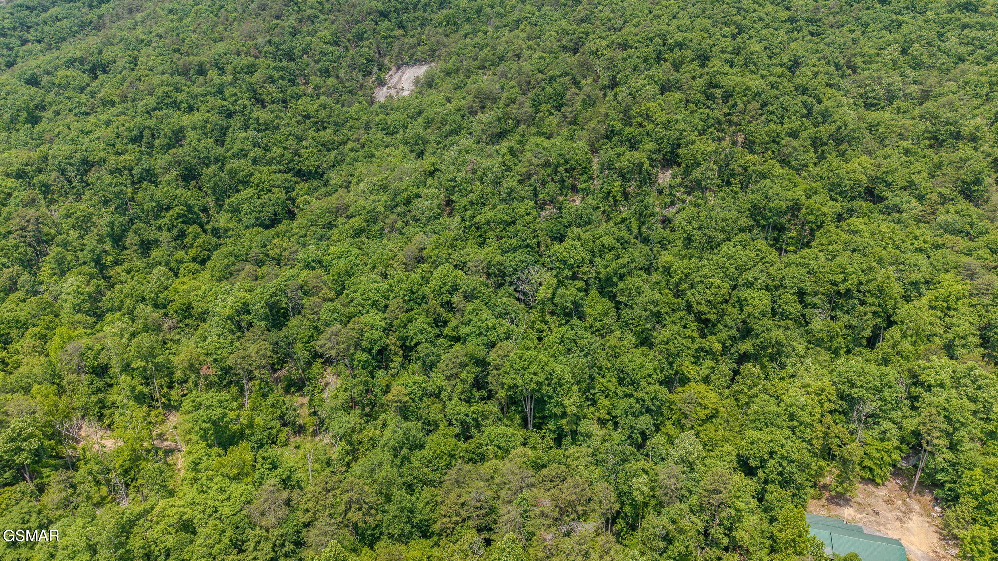 0 Poor Valley Road Rutledge, TN 37861 - Photo 3 of 9