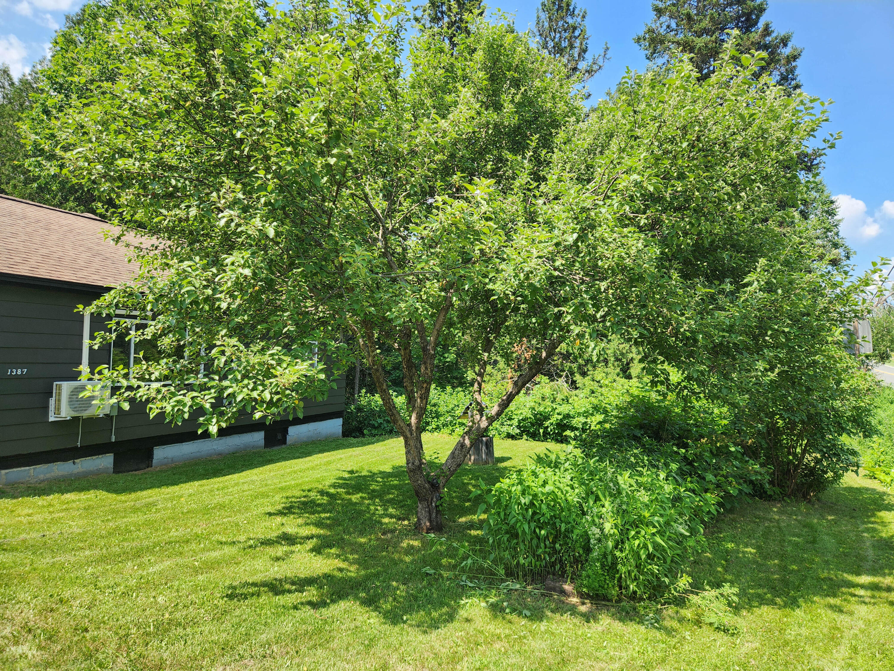1387 Masardis Road Ashland, ME 04732 - Photo 52 of 61 1387 Masardis Road-17