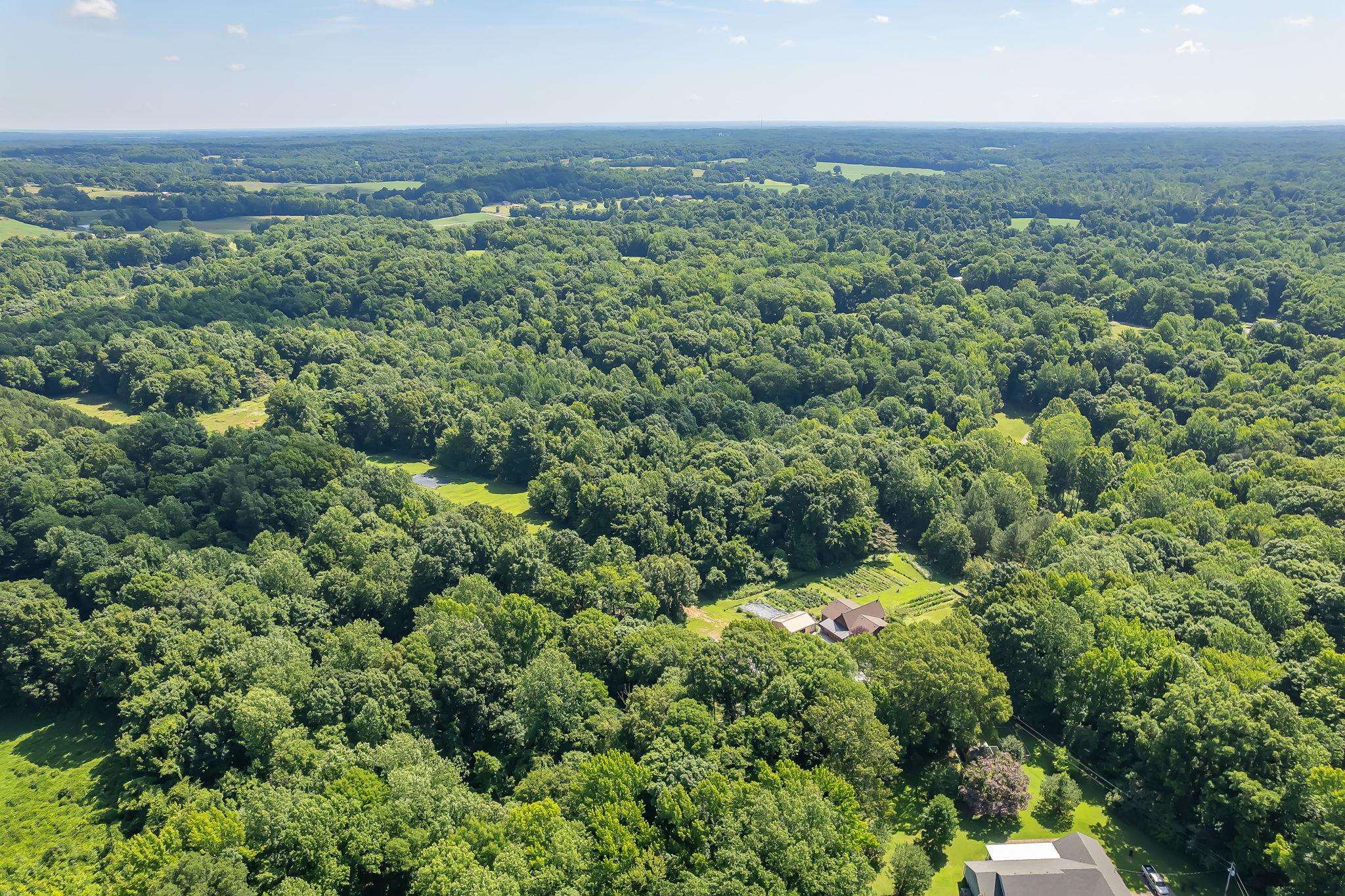 4637 Edith-Nankipoo Road Ripley, TN 38063 - Photo 10 of 34