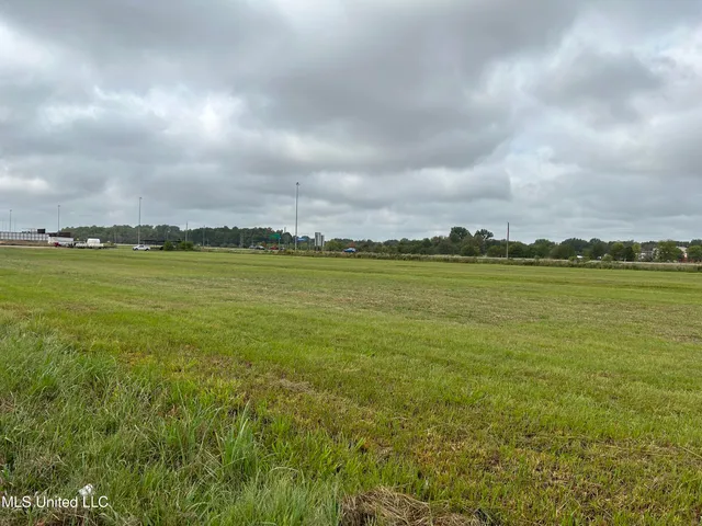 $1,150,000 | Soldiers Colony Road, Canton, MS 39046