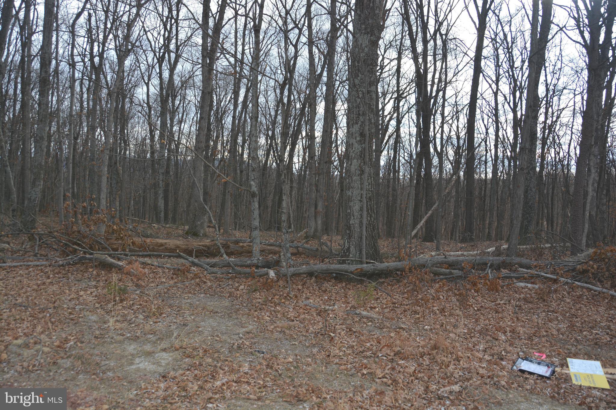 South Timber Ridge Road Cross Junction, VA 22625 - Photo 4 of 8 Lays very nicely. Great potential building sites