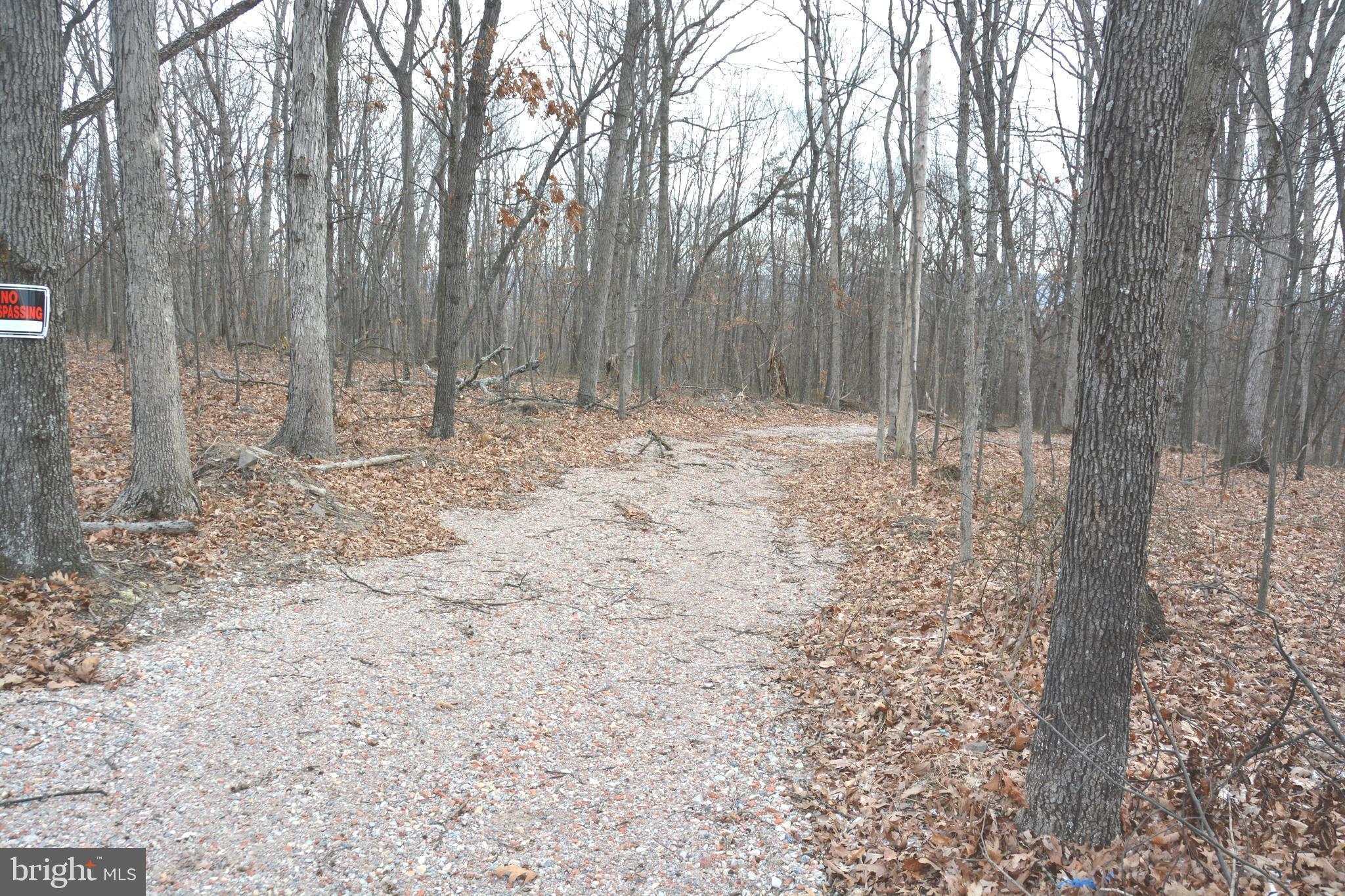 South Timber Ridge Road Cross Junction, VA 22625 - Photo 6 of 8 Great access road through edge of lot.