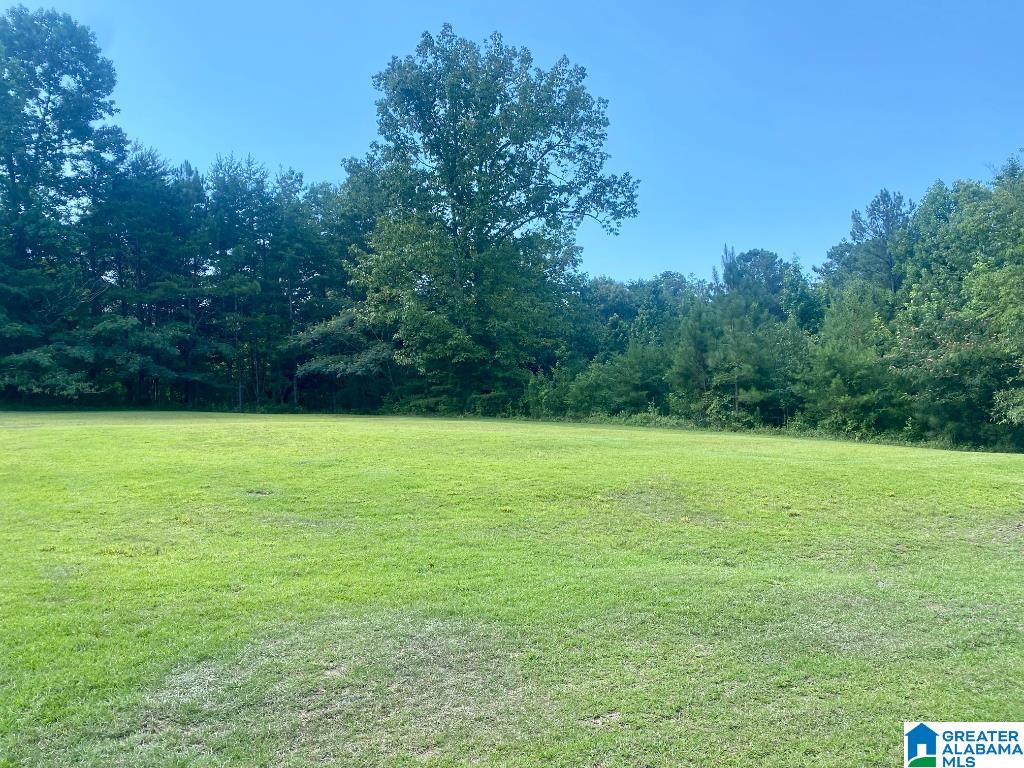 1300 Lake Road Oneonta, AL 35121 - Photo 55 of 55