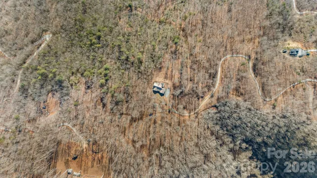 a close up of a plant