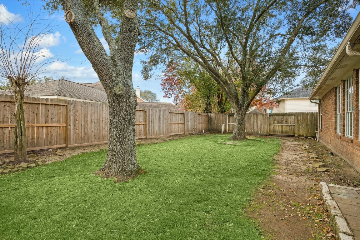 9831 Therrell Drive Houston, TX 77064 - Photo 42 of 44 a backyard of a house with lots of green space