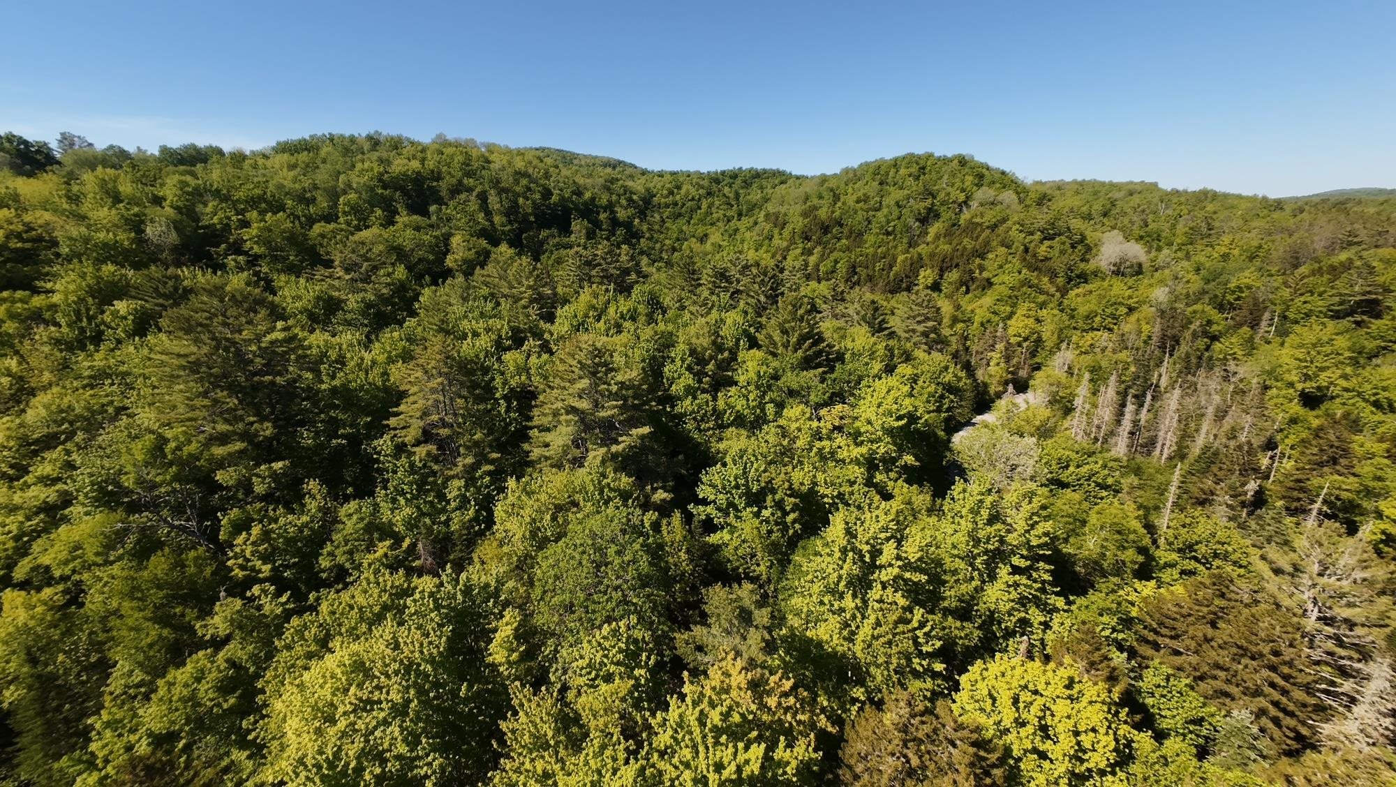 2800 Dugar Brook Road Calais, VT 05650 - Photo 3 of 12