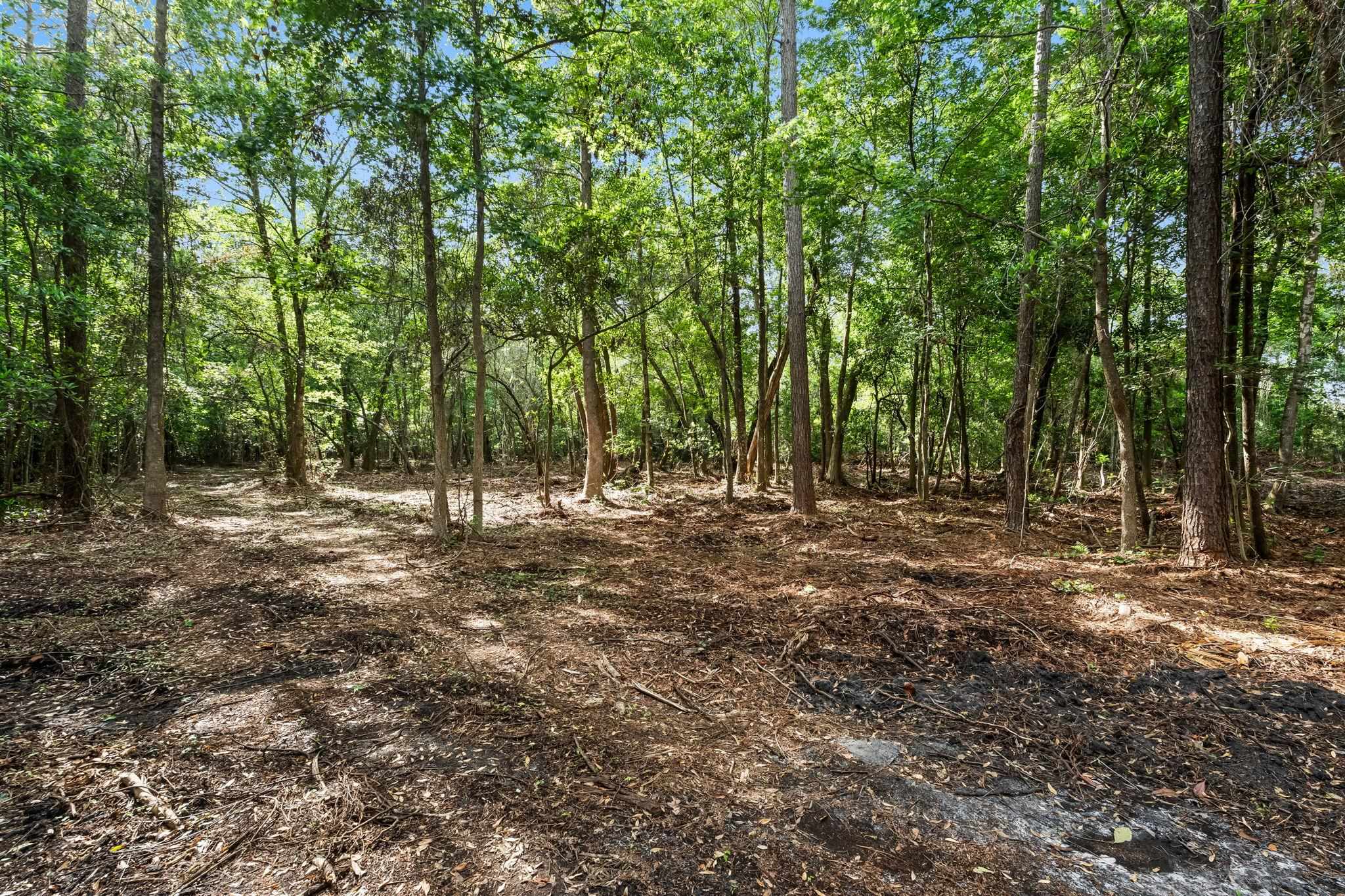 2850 Gause Road Loris, SC 29569 - Photo 19 of 24