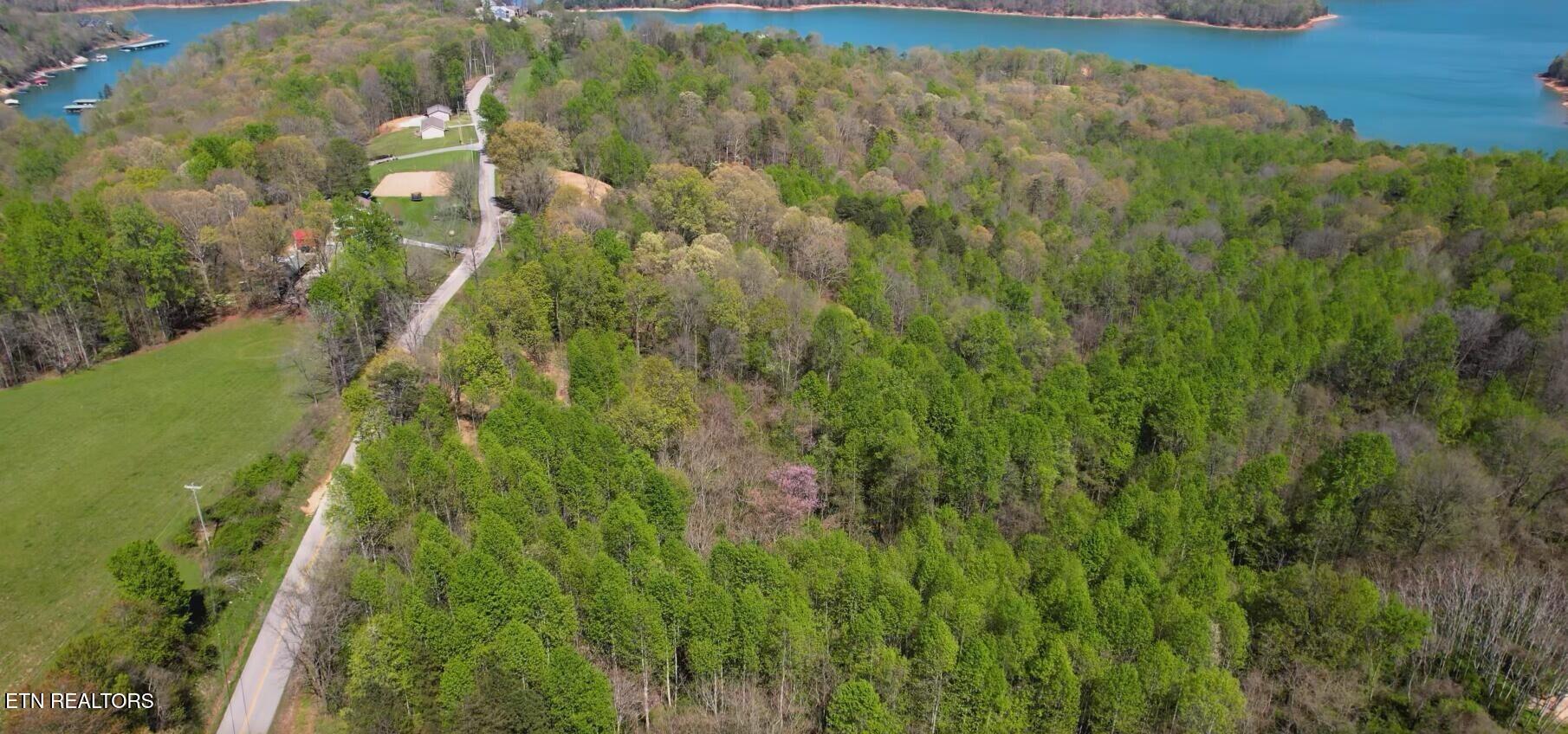4160 Demory Road La Follette, TN 37766 - Photo 5 of 34 Demory Turkey Cove