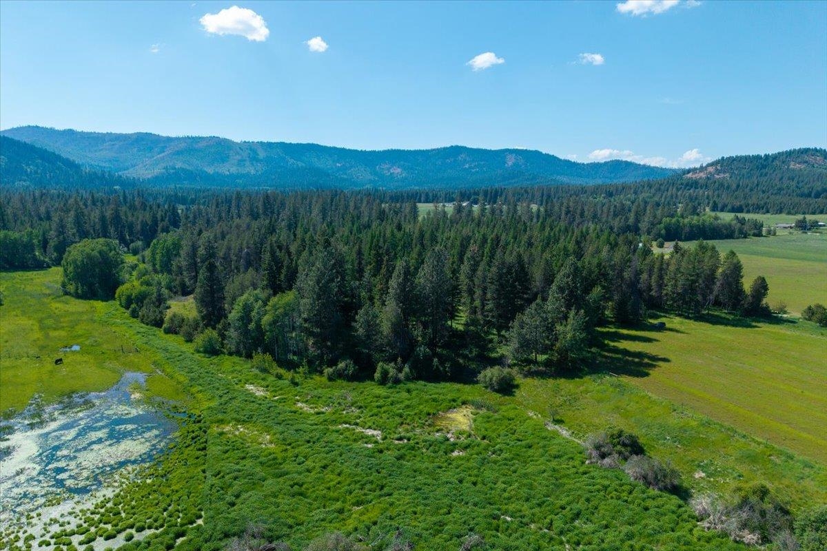 4668 Williams Valley Road Clayton, WA 99110 - Photo 39 of 44