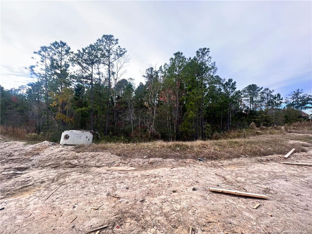 67 Steeple Ridge Cameron, NC 28326 - Photo 2 of 4 Photo 2