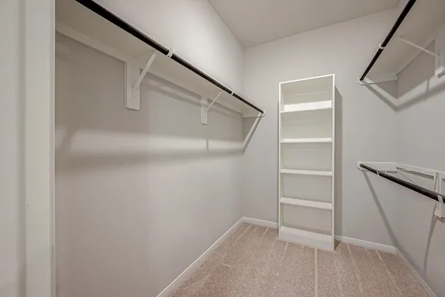 a view of a backyard with plants and patio