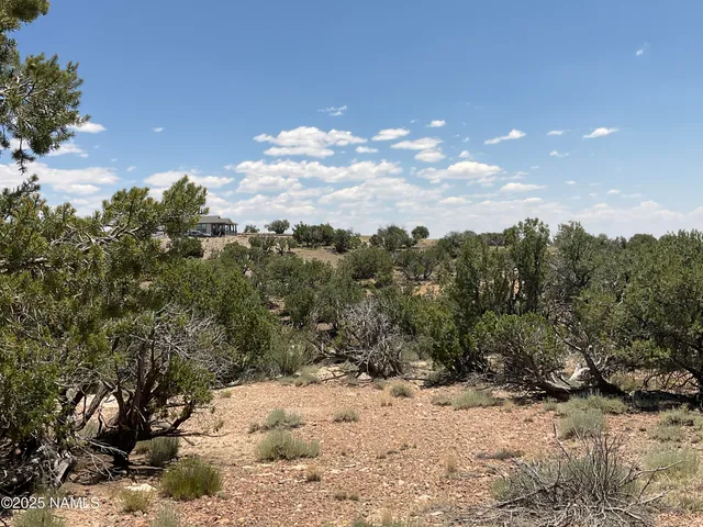 $290,000 | 6379 County Road 61, St. Johns, AZ 85936