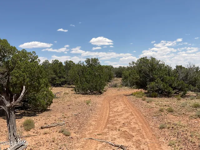 $290,000 | 6379 County Road 61, St. Johns, AZ 85936