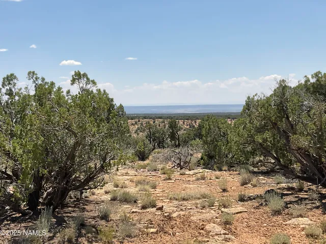$290,000 | 6379 County Road 61, St. Johns, AZ 85936