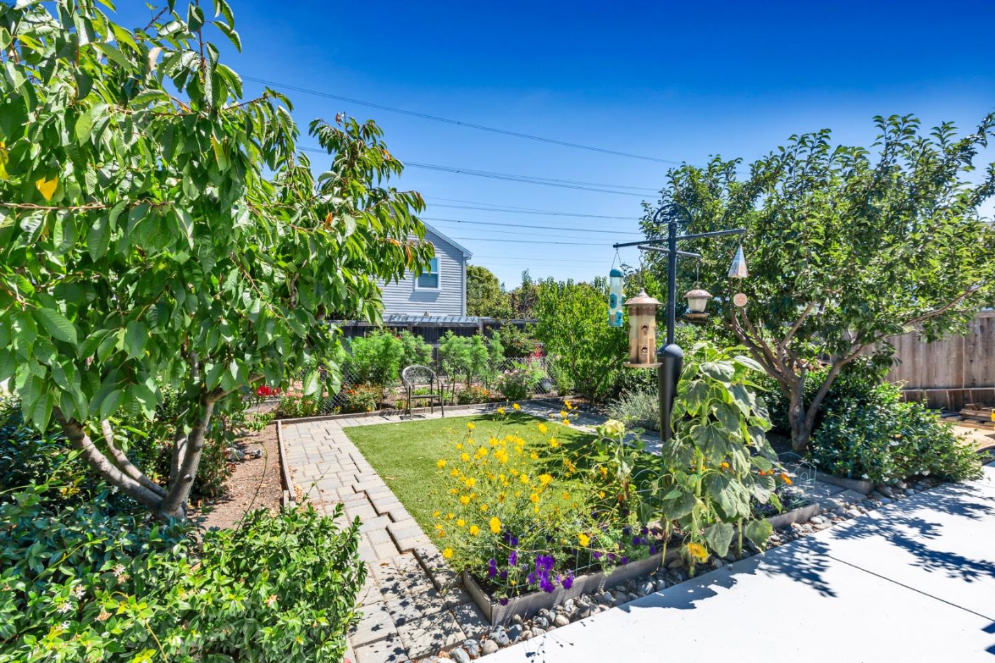 16 North Rochester Street San Mateo, CA 94401 - Photo 25 of 27 a view of a backyard with potted plants and large trees