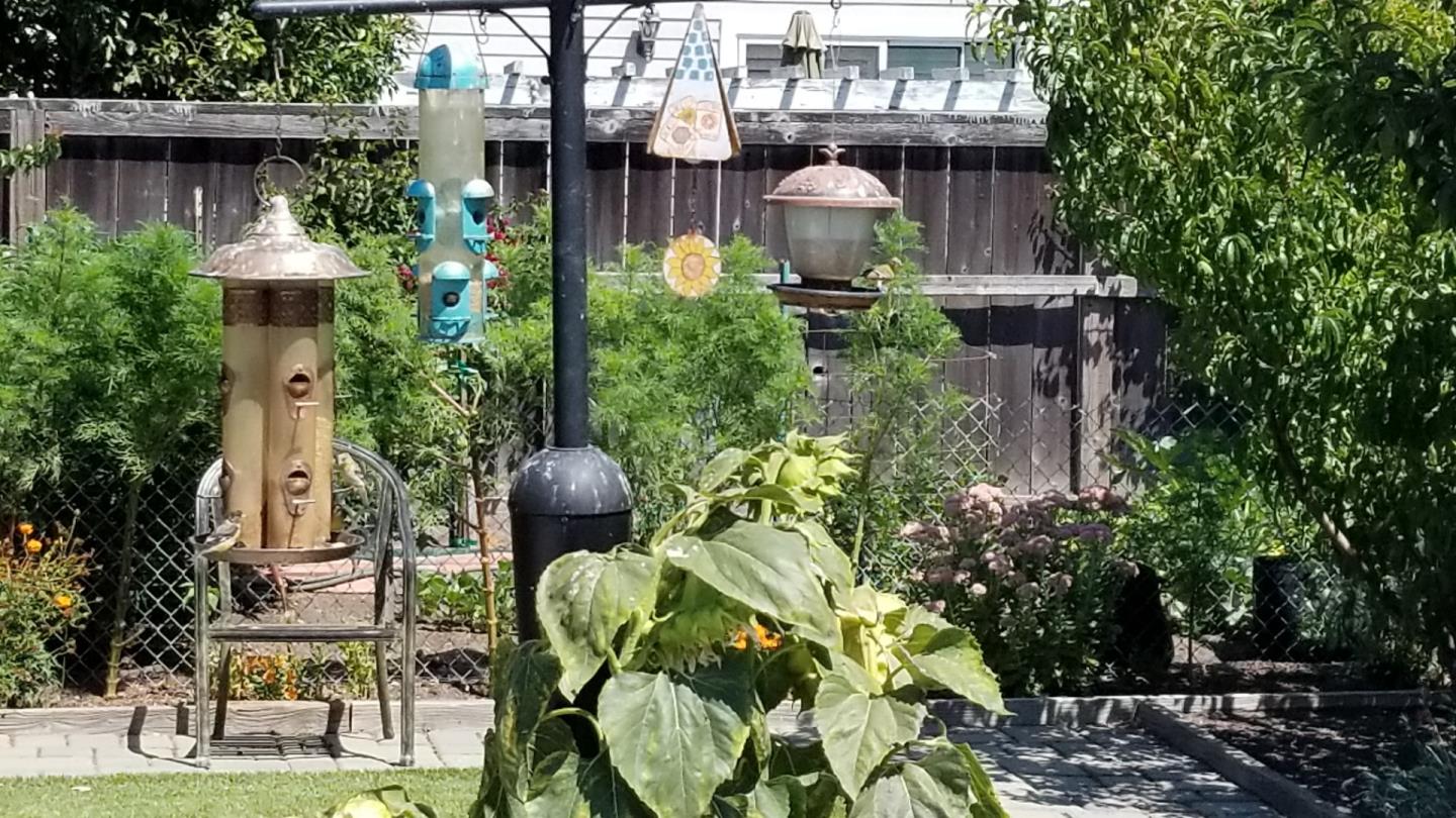 16 North Rochester Street San Mateo, CA 94401 - Photo 27 of 27 a view of a patio with table and chairs potted plants and large tree