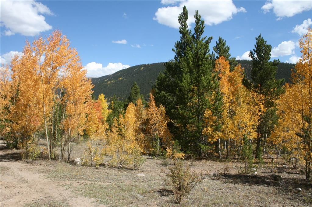 481 Edgewood Road Alma, CO 80420 - Photo 19 of 25 Gallery Image 19