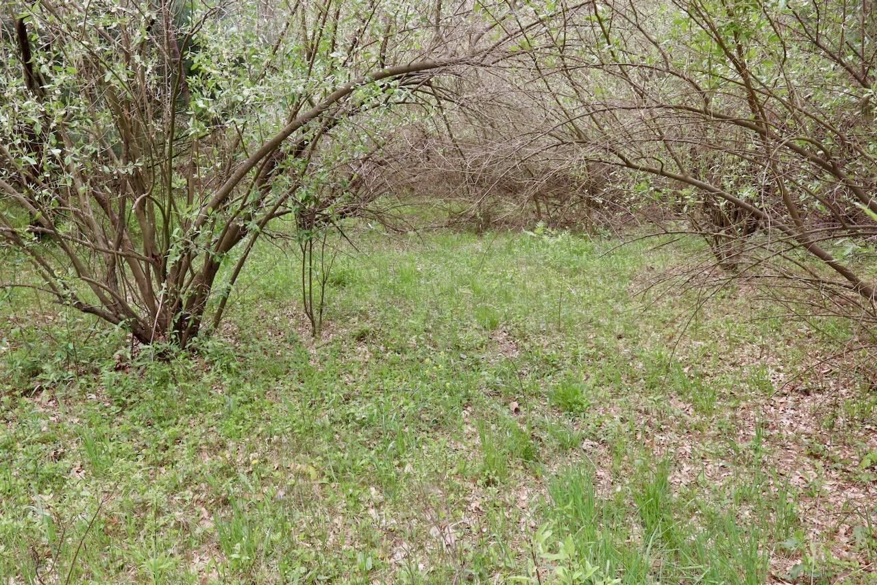 6153 South Branch Road Branch, MI 49402 - Photo 59 of 70 52