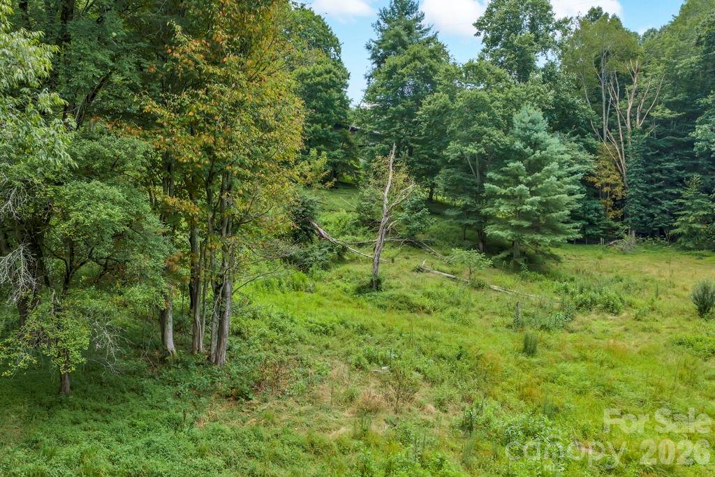 Tbd Bethel Road Sugar Grove, NC 28679 - Photo 11 of 19 Gallery Image 11