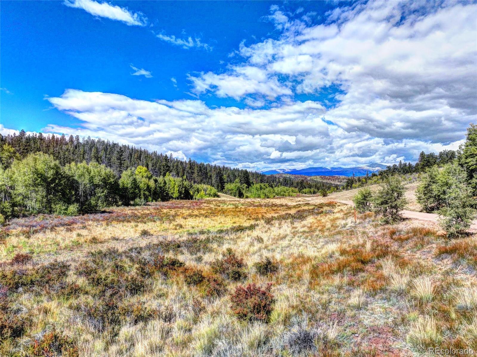 581 West Longbow Drive Como, CO 80456 - Photo 3 of 14