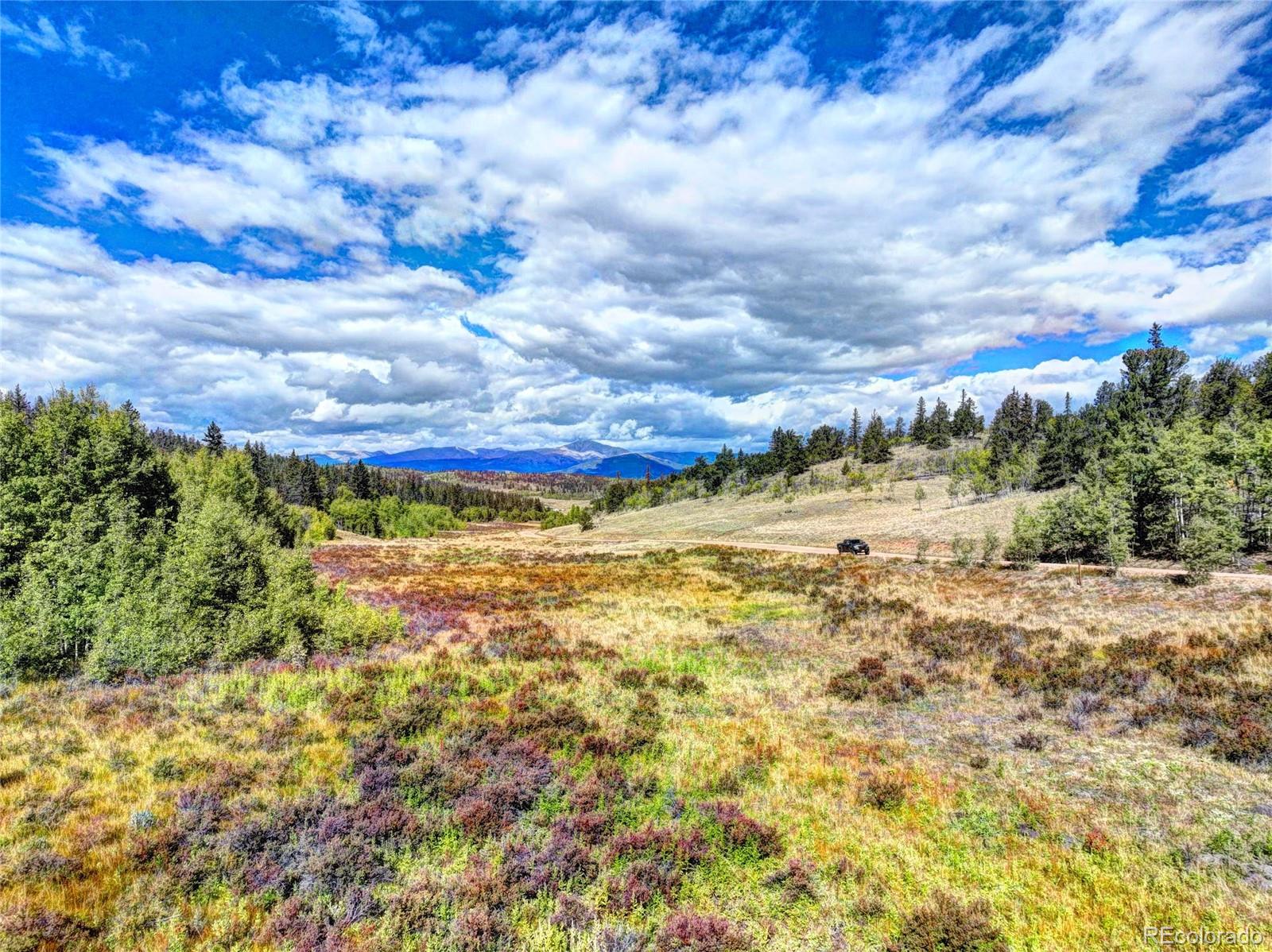 581 West Longbow Drive Como, CO 80456 - Photo 5 of 14