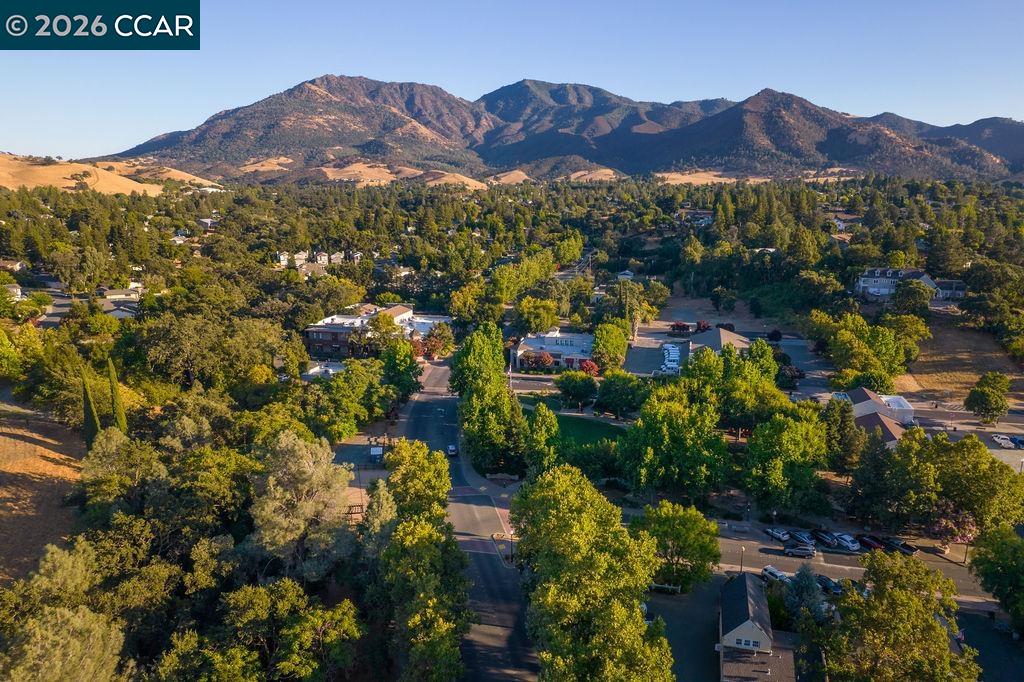 4901 Keller Ridge Drive Clayton, CA 94517 - Photo 36 of 42