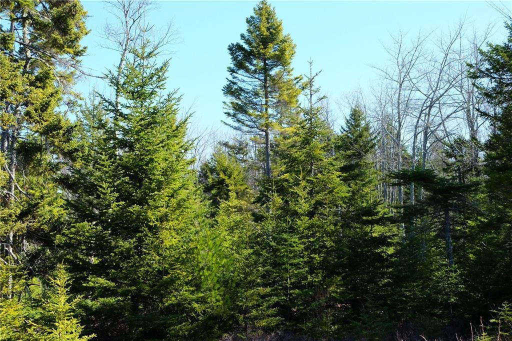 11 Bass Harbor Woods Road Bass Harbor, ME 04653 - Photo 4 of 8 Photo