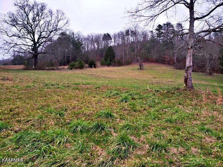 106 County Road 181 Decatur, TN 37322 - Photo 16 of 33 270049694_618280029468325_54395313873068
