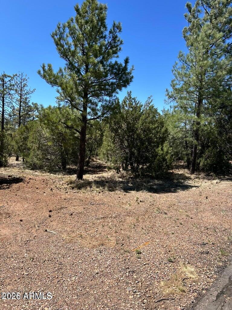 4864 Bison Trail, Unit 40 Lakeside, AZ 85929 - Photo 3 of 4 a view of a yard covered in snow