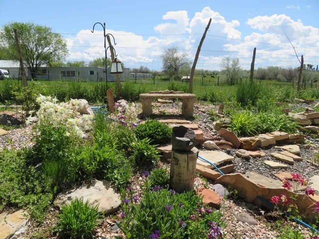 a view of a yard with a tree