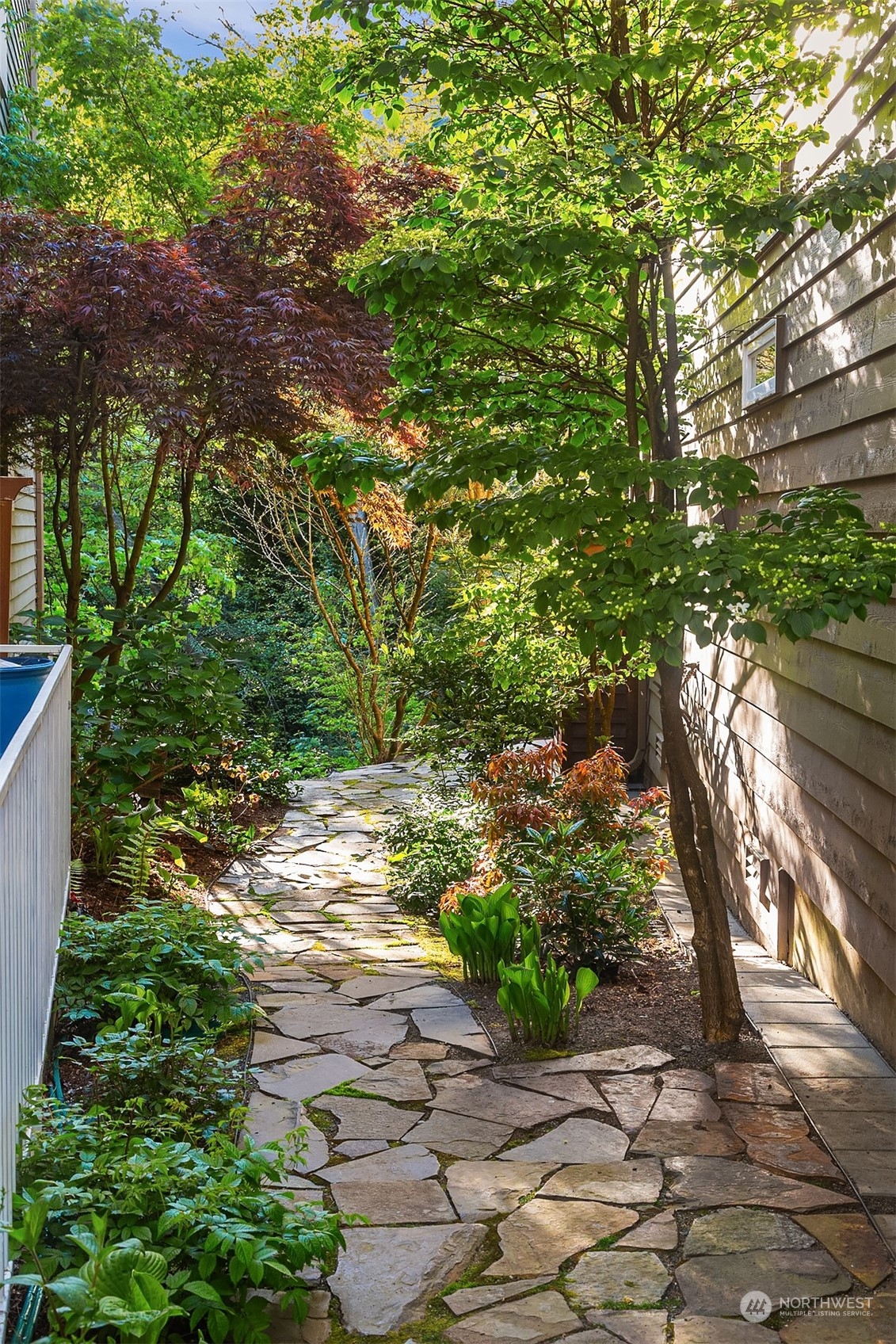 4401 Brygger Drive West Seattle, WA 98199 - Photo 30 of 36 a view of a yard with plants and large trees
